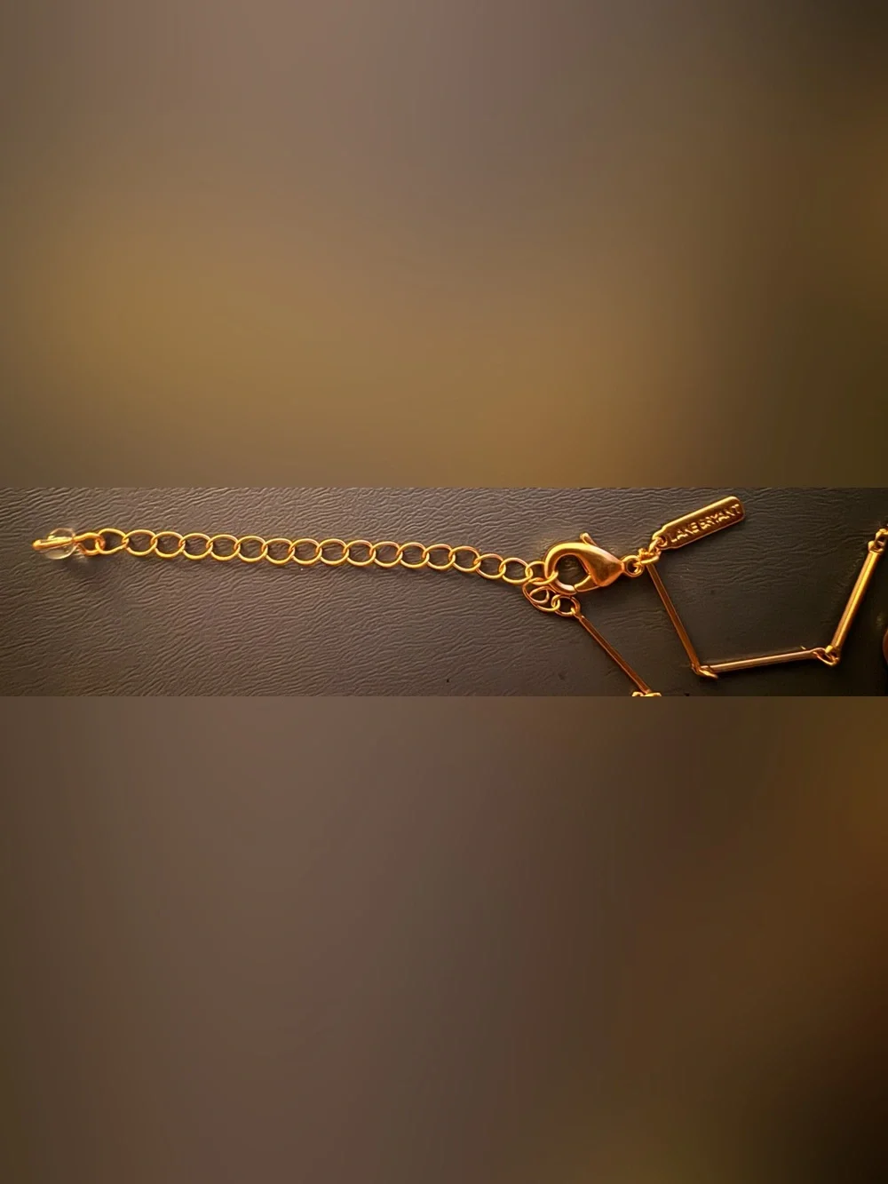 Lane Bryant Gold-Tone Petal Y Necklace with Pink and Blush Leaf Charms